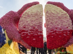 190413-Bloemencorso222