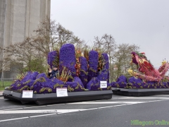 190413-Bloemencorso239