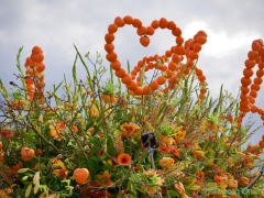 190413-Bloemencorso306