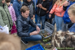 191007-bodemdierendag-113