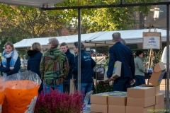 IKpictures-Bollenmarkt005