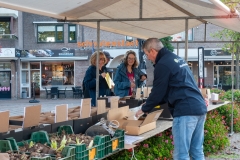 IKpictures-Bollenmarkt011