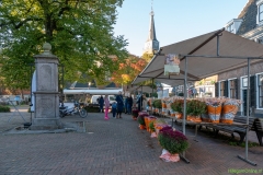 IKpictures-Bollenmarkt018