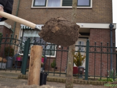 190313 - Boomplantdag116