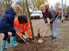 190313 - Boomplantdag118