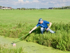 Hillegom Online 2022 septemder kermis boerengolf