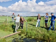 Hillegom Online 2022 septemder kermis boerengolf