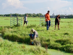 Hillegom Online 2022 septemder kermis boerengolf