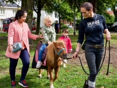 Hillegom Online 2022 september kermis pony rijden