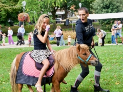 Hillegom Online 2022 september kermis pony rijden