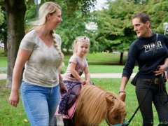 Hillegom Online 2022 september kermis pony rijden