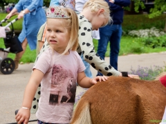 Hillegom Online 2022 september kermis pony rijden