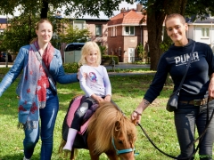 Hillegom Online 2022 september kermis pony rijden