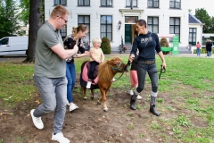 Hillegom Online 2022 september kermis pony rijden