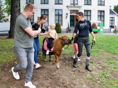 Hillegom Online 2022 september kermis pony rijden