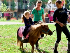 Hillegom Online 2022 september kermis pony rijden