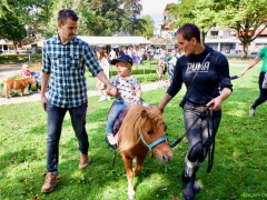 Hillegom Online 2022 september kermis pony rijden