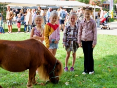 Hillegom Online 2022 september kermis pony rijden