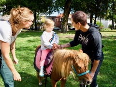 Hillegom Online 2022 september kermis pony rijden