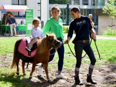 Hillegom Online 2022 september kermis pony rijden