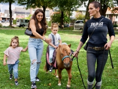 Hillegom Online 2022 september kermis pony rijden