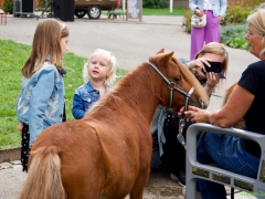 Hillegom Online 2022 september kermis pony rijden