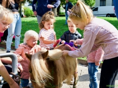 Hillegom Online 2022 september kermis pony rijden