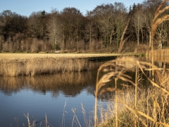 01_Corine-Zijerveld_Lokhorsterduin