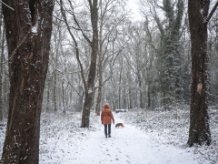 03_Corine-Zijerveld_Lokhorsterduin