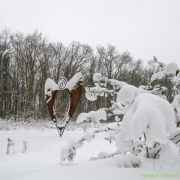 06_Corine-Zijerveld_Lokhorsterduin