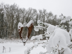 06_Corine-Zijerveld_Lokhorsterduin