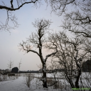 07_Corine-Zijerveld_Lokhorsterduin