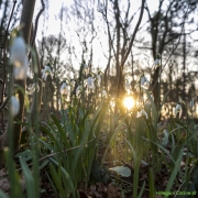 09_Corine-Zijerveld_Lokhorsterduin