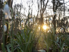 09_Corine-Zijerveld_Lokhorsterduin