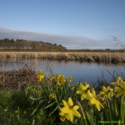 13_Corine-Zijerveld_Lokhorsterduin