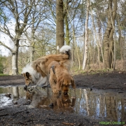 15_Corine-Zijerveld_Lokhorsterduin