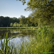 22_Corine-Zijerveld_Lokhorsterduin