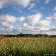 38_Corine-Zijerveld_Lokhorsterduin