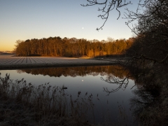 50_Corine-Zijerveld_Lokhorsterduin