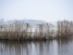 03_Corine-Zijerveld_Oosteinderlaan