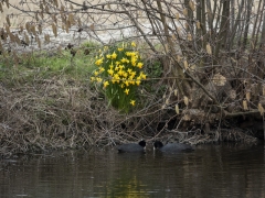 10_Corine-Zijerveld_Oosteinderlaan