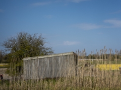 16_Corine-Zijerveld_Oosteinderlaan