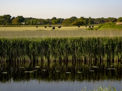 23_Corine-Zijerveld_Oosteinderlaan