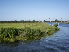 29_Corine-Zijerveld_Oosteinderlaan