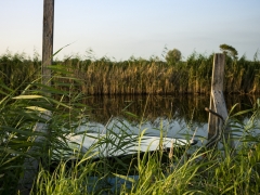 34_Corine-Zijerveld_Oosteinderlaan