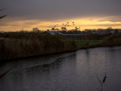 48_Corine-Zijerveld_Oosteinderlaan