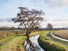 02 _ Tonny de Rooij _ Oudebeek