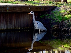 09 _ Tonny de Rooij _ Oudebeek