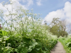 20 _ Tonny de Rooij _ Oudebeek