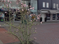 07_AnnemiekCornelissen_HenriDunantplein